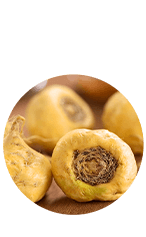 Ingredient 1